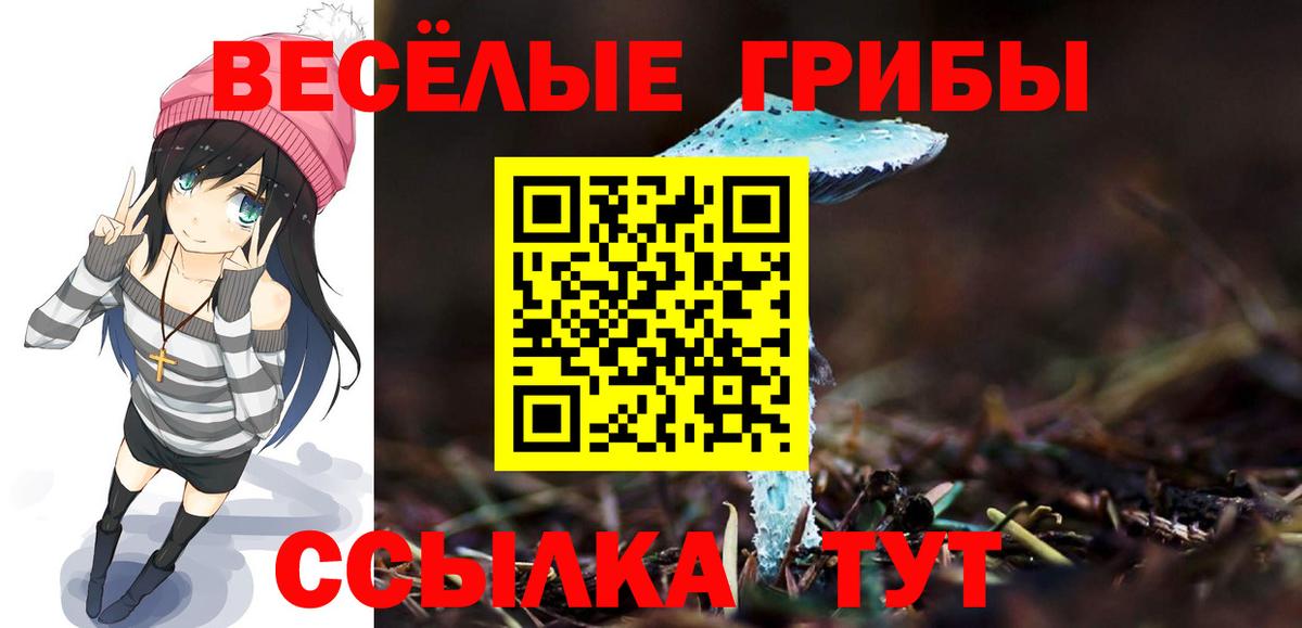 закладка  Псилоцибиновые грибы Cubensis  Вышний Волочёк  Вход с VPN  Галлюциногенные грибы прущие грибы 
